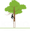 Krinos-Baumdienst